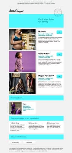 Littleshoppe Campaign Monitor email template
